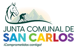 Junta Comunal de San Carlos